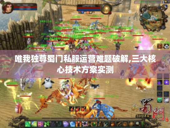 唯我独尊蜀门私服运营难题破解,三大核心技术方案实测