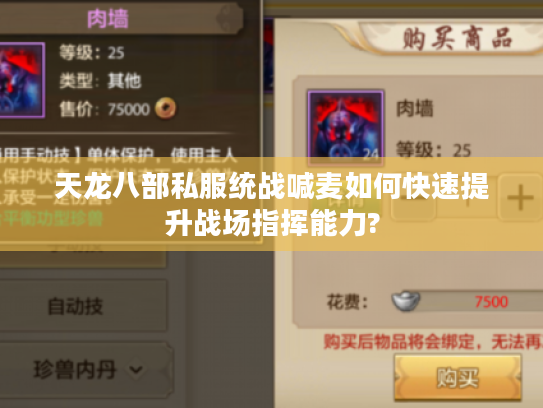 天龙八部私服统战喊麦如何快速提升战场指挥能力?