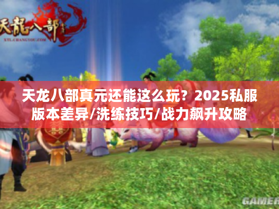 天龙八部真元还能这么玩？2025私服版本差异/洗练技巧/战力飙升攻略
