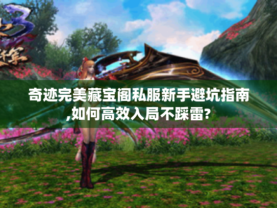 奇迹完美藏宝阁私服新手避坑指南,如何高效入局不踩雷?