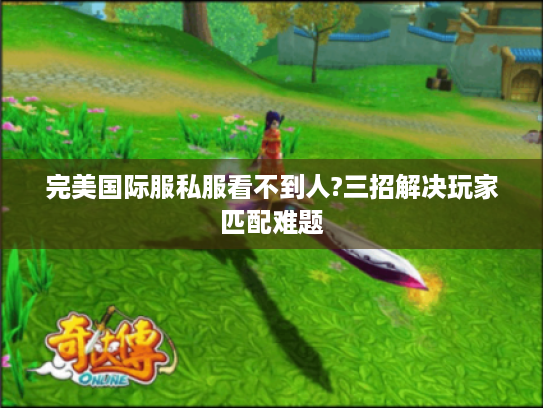 完美国际服私服看不到人?三招解决玩家匹配难题