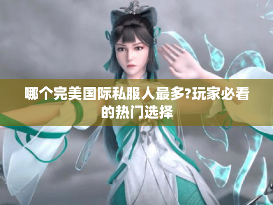哪个完美国际私服人最多?玩家必看的热门选择