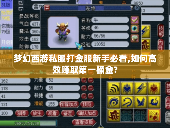 梦幻西游私服打金服新手必看,如何高效赚取第一桶金?