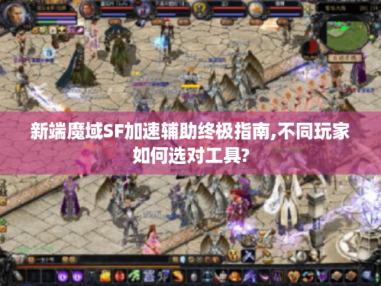 新端魔域SF加速辅助终极指南,不同玩家如何选对工具?