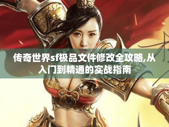 传奇世界sf极品文件修改全攻略,从入门到精通的实战指南