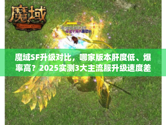 魔域SF升级对比，哪家版本肝度低、爆率高？2025实测3大主流服升级速度差多少？