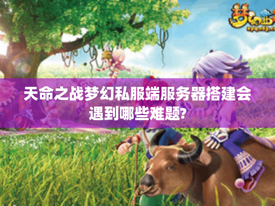 天命之战梦幻私服端服务器搭建会遇到哪些难题?
