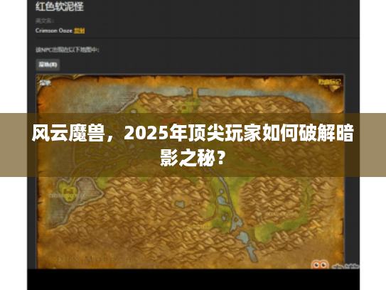 风云魔兽，2025年顶尖玩家如何破解暗影之秘？