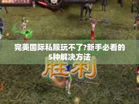 完美国际私服玩不了?新手必看的5种解决方法