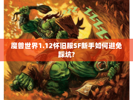 魔兽世界1.12怀旧服SF新手如何避免踩坑?