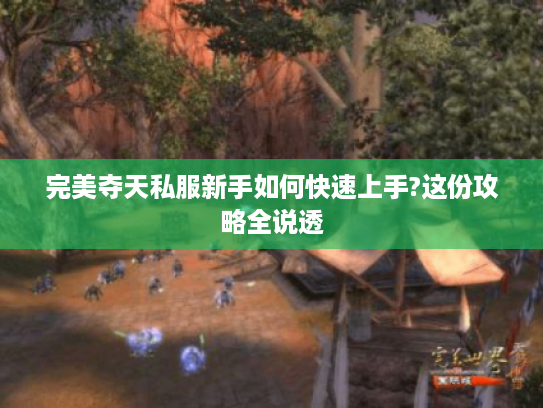 完美夺天私服新手如何快速上手?这份攻略全说透