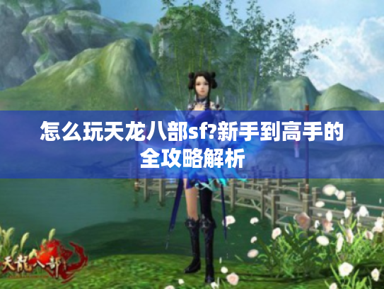 怎么玩天龙八部sf?新手到高手的全攻略解析
