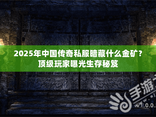 2025年中国传奇私服暗藏什么金矿？顶级玩家曝光生存秘笈