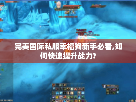 完美国际私服幸福狗新手必看,如何快速提升战力?
