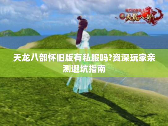 天龙八部怀旧版有私服吗?资深玩家亲测避坑指南