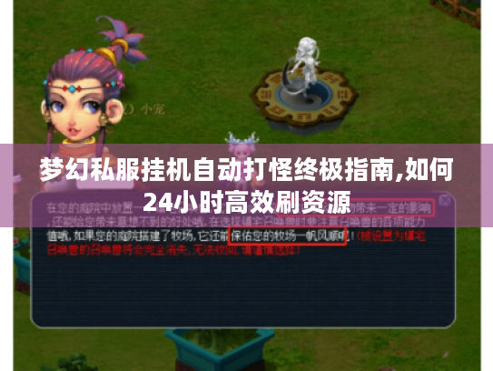 梦幻私服挂机自动打怪终极指南,如何24小时高效刷资源