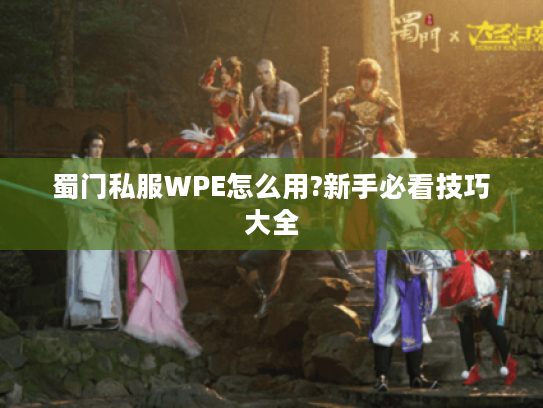 蜀门私服WPE怎么用?新手必看技巧大全