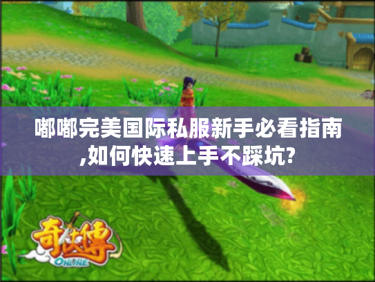 嘟嘟完美国际私服新手必看指南,如何快速上手不踩坑?