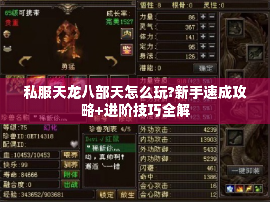 私服天龙八部天怎么玩?新手速成攻略+进阶技巧全解