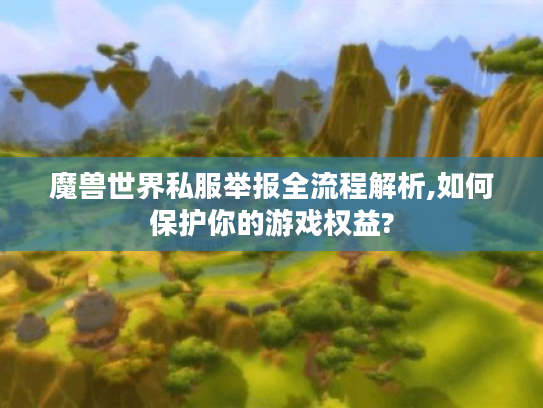 魔兽世界私服举报全流程解析,如何保护你的游戏权益?