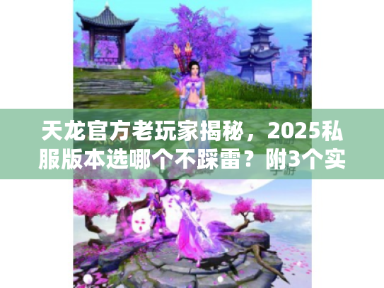 天龙官方老玩家揭秘，2025私服版本选哪个不踩雷？附3个实战验证技巧