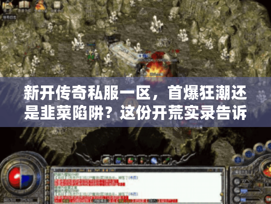 新开传奇私服一区，首爆狂潮还是韭菜陷阱？这份开荒实录告诉你真相！