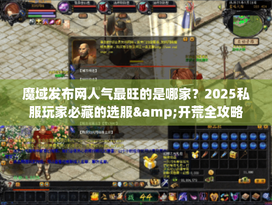 魔域发布网人气最旺的是哪家？2025私服玩家必藏的选服&开荒全攻略