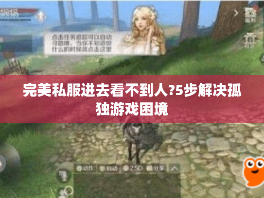 完美私服进去看不到人?5步解决孤独游戏困境