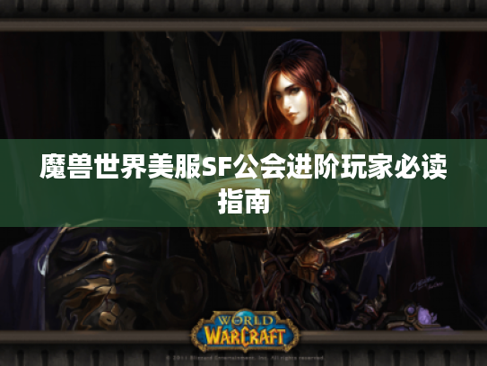 魔兽世界美服SF公会进阶玩家必读指南