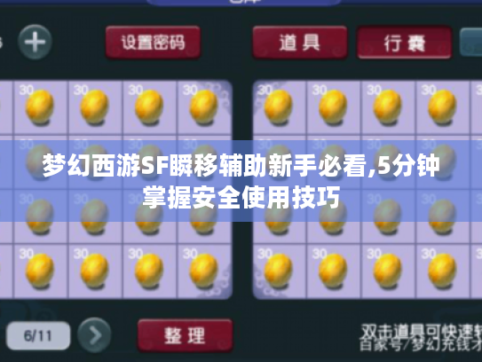 梦幻西游SF瞬移辅助新手必看,5分钟掌握安全使用技巧
