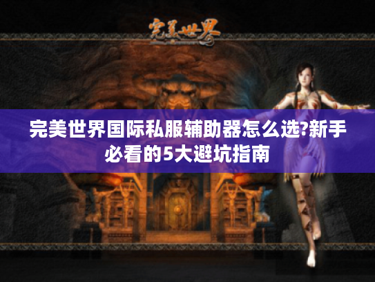 完美世界国际私服辅助器怎么选?新手必看的5大避坑指南