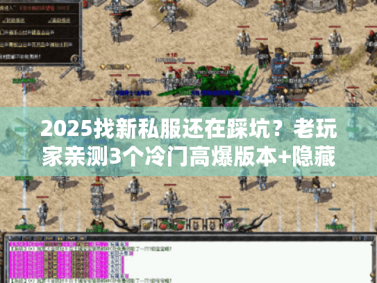2025找新私服还在踩坑？老玩家亲测3个冷门高爆版本+隐藏攻略