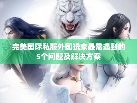 完美国际私服外国玩家最常遇到的5个问题及解决方案