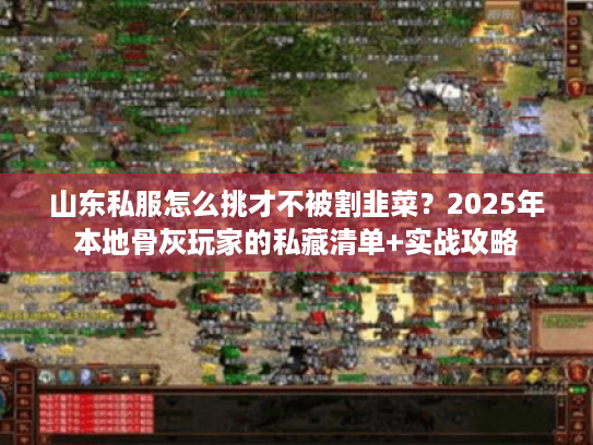 山东私服怎么挑才不被割韭菜？2025年本地骨灰玩家的私藏清单+实战攻略