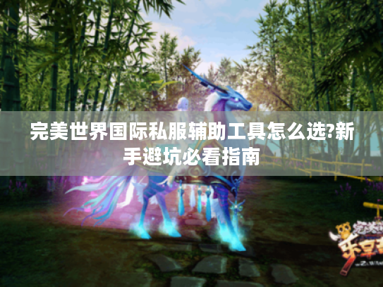 完美世界国际私服辅助工具怎么选?新手避坑必看指南