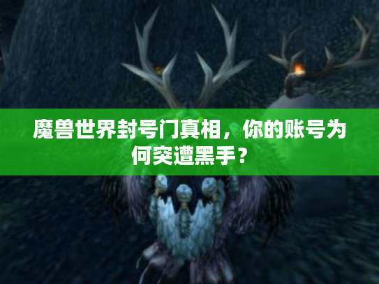 魔兽世界封号门真相，你的账号为何突遭黑手？