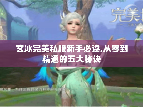 玄冰完美私服新手必读,从零到精通的五大秘诀
