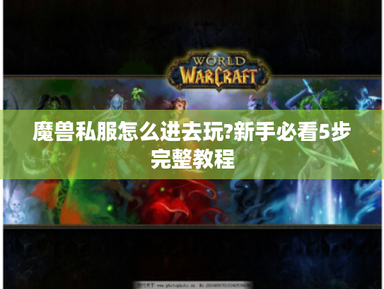 魔兽私服怎么进去玩?新手必看5步完整教程