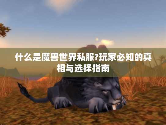 什么是魔兽世界私服?玩家必知的真相与选择指南