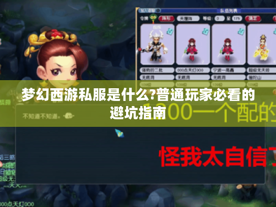 梦幻西游私服是什么?普通玩家必看的避坑指南
