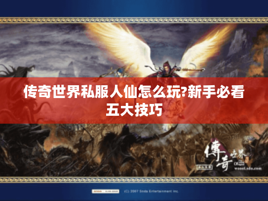 传奇世界私服人仙怎么玩?新手必看五大技巧