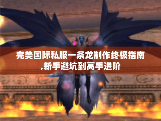 完美国际私服一条龙制作终极指南,新手避坑到高手进阶