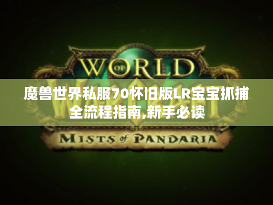 魔兽世界私服70怀旧版LR宝宝抓捕全流程指南,新手必读