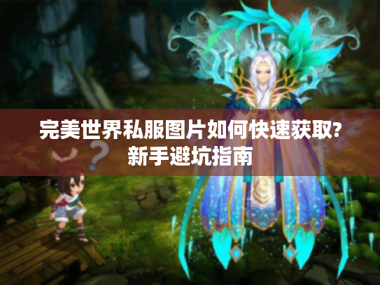 完美世界私服图片如何快速获取?新手避坑指南