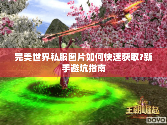 完美世界私服图片如何快速获取?新手避坑指南