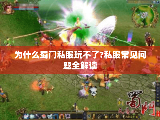 为什么蜀门私服玩不了?私服常见问题全解读