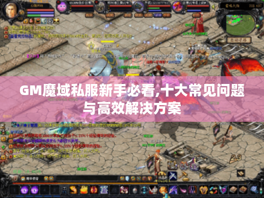 GM魔域私服新手必看,十大常见问题与高效解决方案