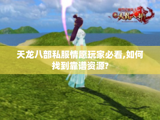 天龙八部私服情愿玩家必看,如何找到靠谱资源?