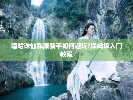 嘻哈诛仙私服新手如何避坑?保姆级入门教程