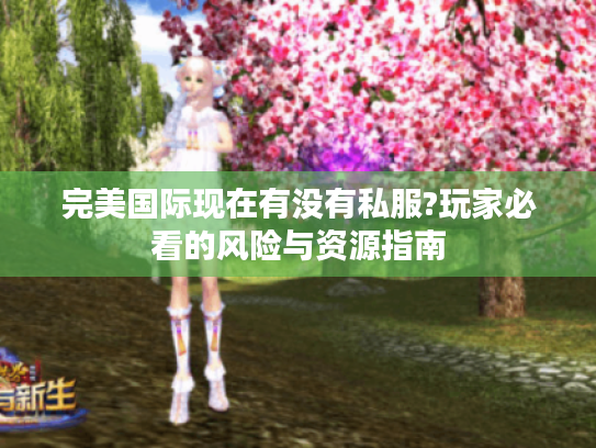 完美国际现在有没有私服?玩家必看的风险与资源指南
